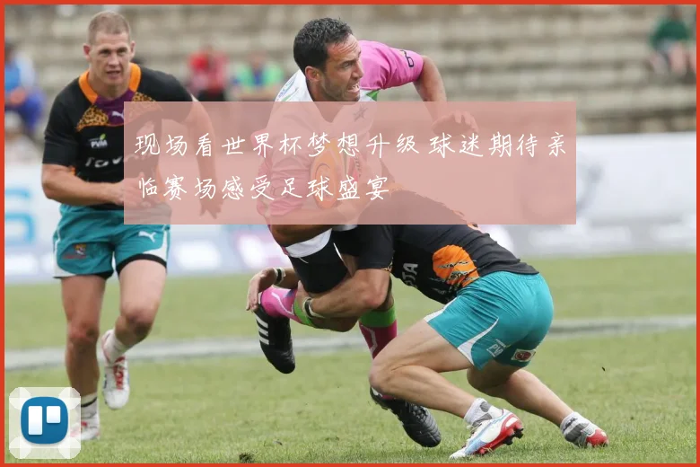 现场看世界杯梦想升级 球迷期待亲临赛场感受足球盛宴