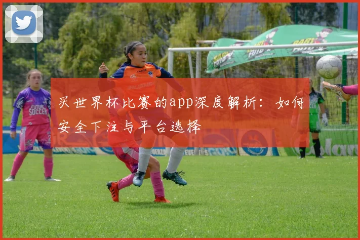 买世界杯比赛的app深度解析:如何安全下注与平台选择