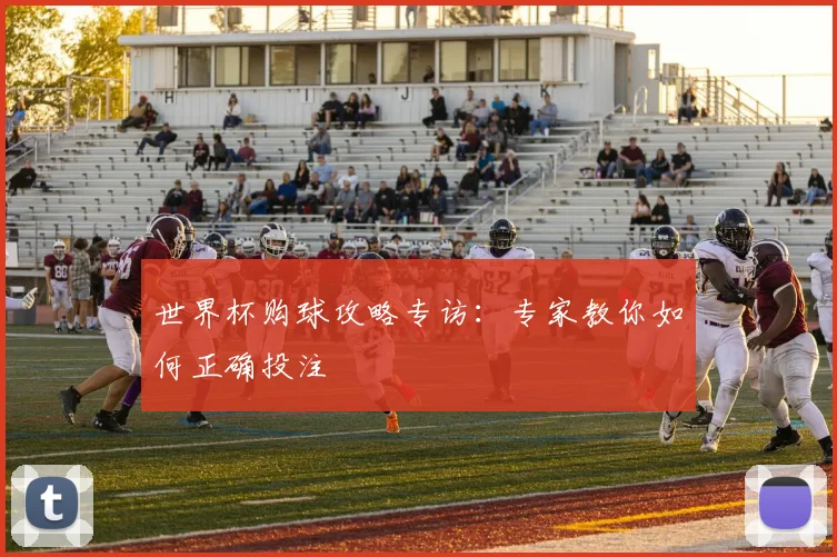 世界杯购球攻略专访：专家教你如何正确投注
