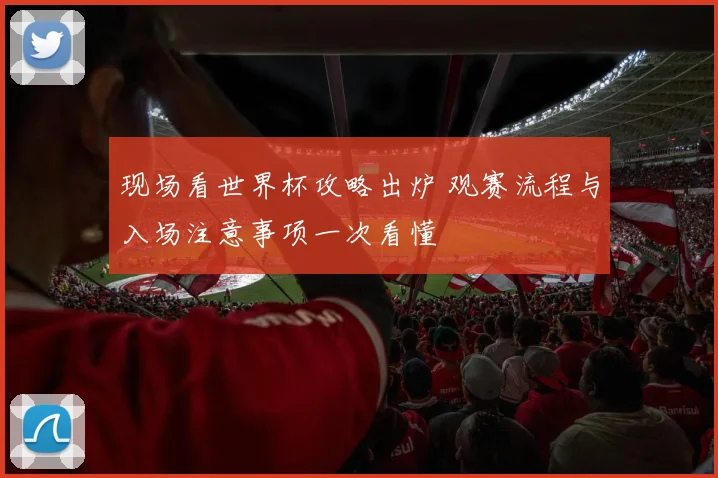 现场看世界杯攻略出炉 观赛流程与入场注意事项一次看懂