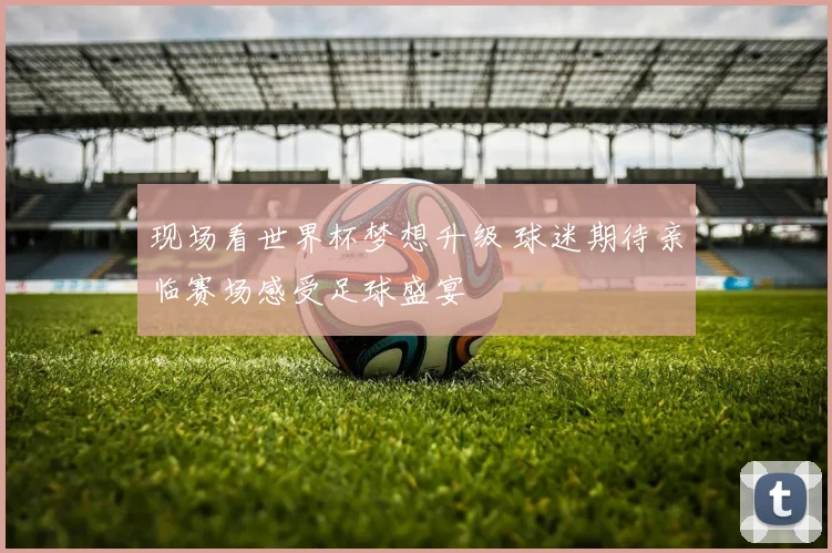 现场看世界杯梦想升级 球迷期待亲临赛场感受足球盛宴