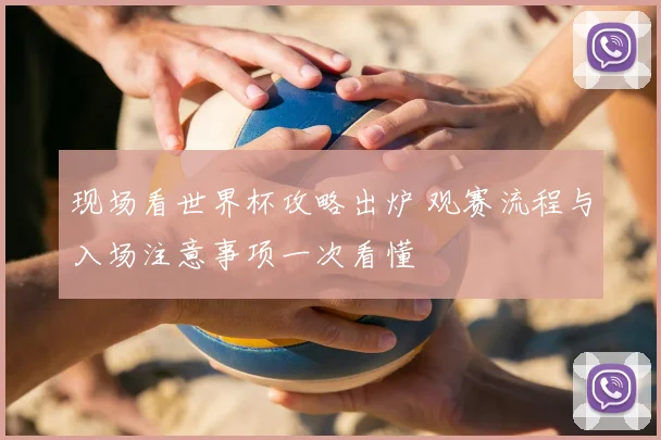 现场看世界杯攻略出炉 观赛流程与入场注意事项一次看懂