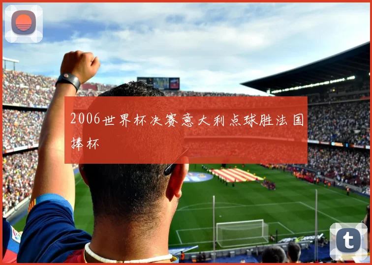 2006世界杯决赛意大利点球胜法国捧杯