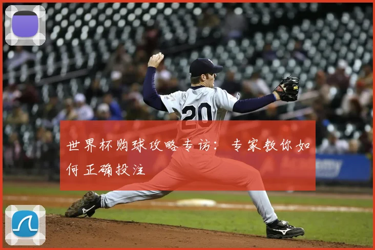 世界杯购球攻略专访：专家教你如何正确投注
