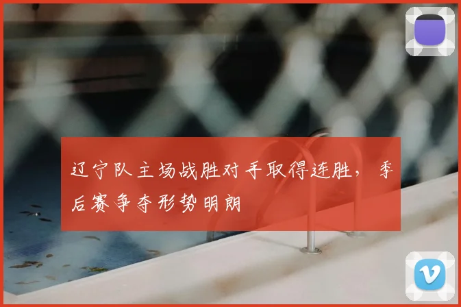 辽宁队主场战胜对手取得连胜,季后赛争夺形势明朗
