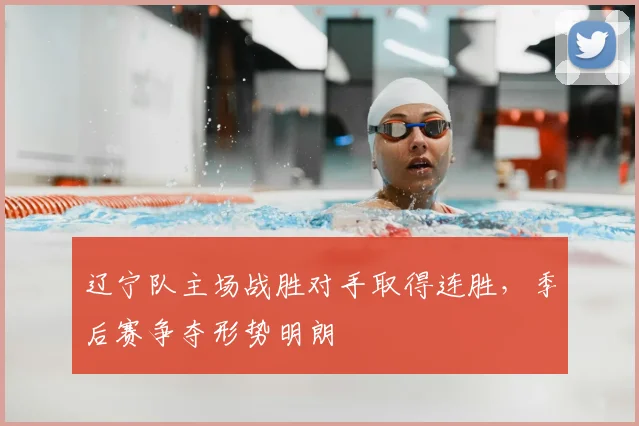 辽宁队主场战胜对手取得连胜,季后赛争夺形势明朗