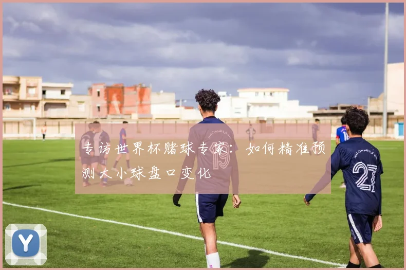 专访世界杯赌球专家:如何精准预测大小球盘口变化