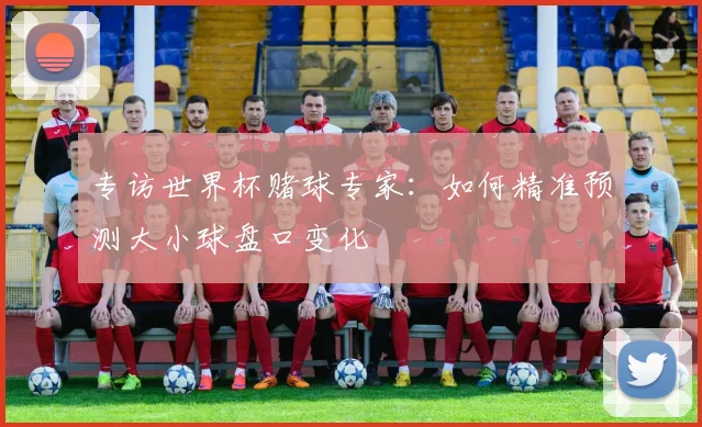 专访世界杯赌球专家：如何精准预测大小球盘口变化