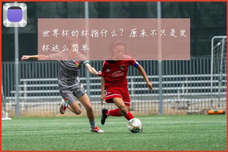 世界杯的杯指什么？原来不只是奖杯这么简单