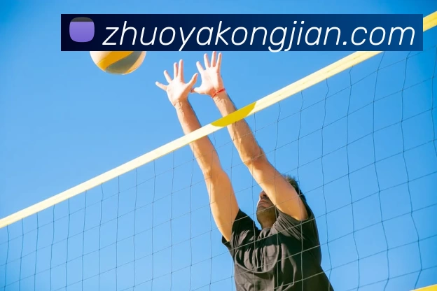 华体会体育APP 封面图